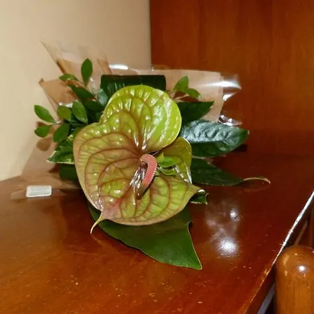 Alojamento de Turismo Rural Ai Due Volti